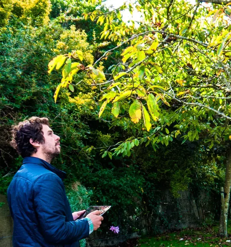 Tree Matters client